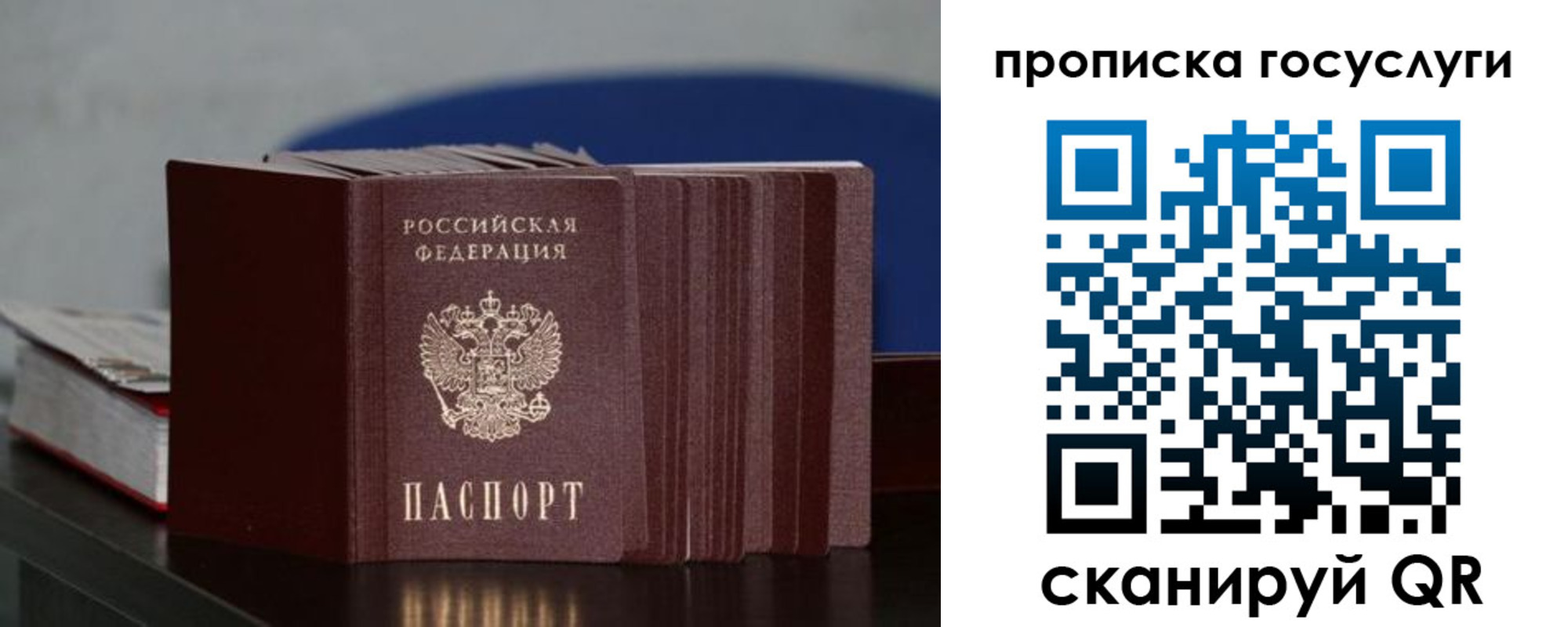 купить прописку в Камешково